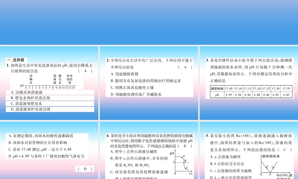 中考化学复习 第1编 教材知识梳理篇 第10单元 酸和碱 第2讲 中和反应 pH(精练)课件