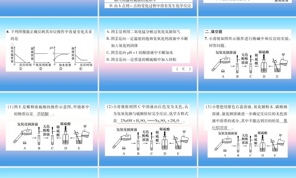 中考化学复习 第1编 教材知识梳理篇 第10单元 酸和碱 第2讲 中和反应 pH(精练)课件