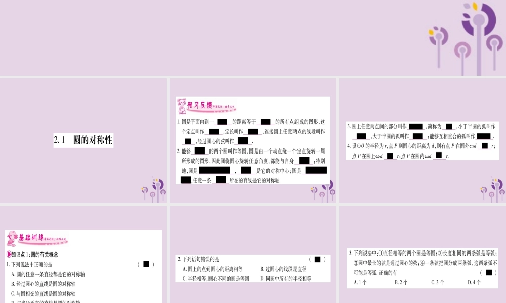 九年级数学下册 第2章 圆 21 圆的对称性作业课件 (新版)湘教版 课件