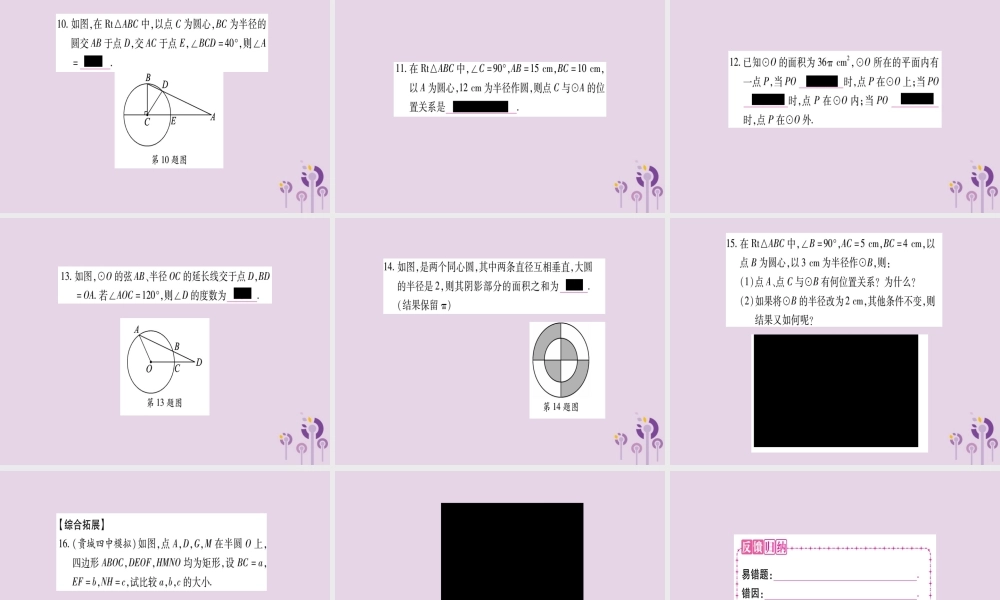 九年级数学下册 第2章 圆 21 圆的对称性作业课件 (新版)湘教版 课件