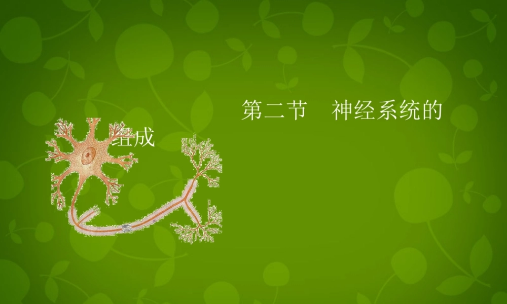 七年级生物下册 第四单元 第六章 第2节(神经系统的组成)课件 新人教版 课件
