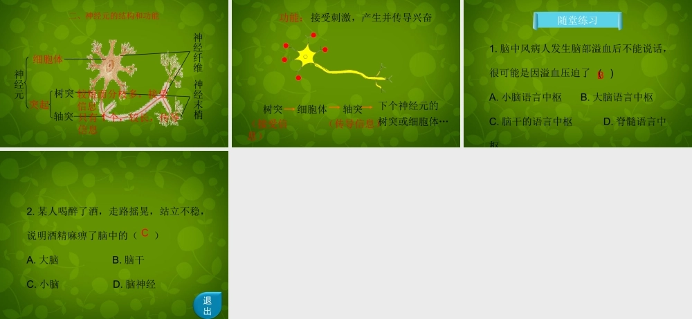 七年级生物下册 第四单元 第六章 第2节(神经系统的组成)课件 新人教版 课件