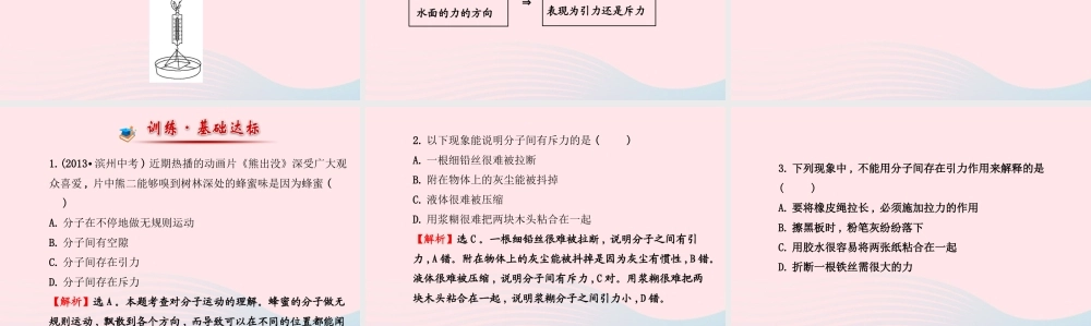 九年级物理下册 第十九章 第二节 分子热运动课件 鲁科版五四制 课件
