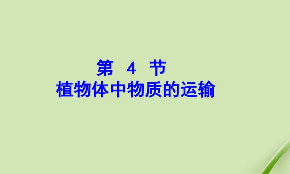 八年级科学下册 植物体中物质的运输课件 浙教版 课件