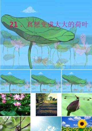 真想变成大大的荷叶上课用