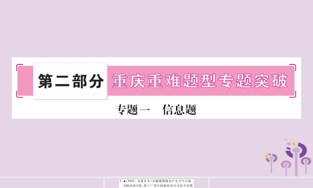 中考化学复习 第二部分 重难题型专题突破 专题一 信息题(精讲)课件