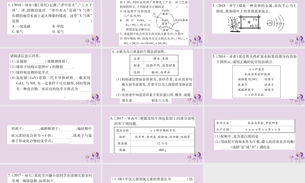 中考化学复习 第二部分 重难题型专题突破 专题一 信息题(精讲)课件