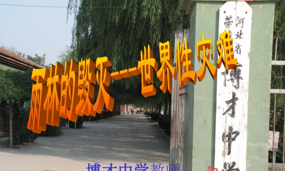八年级语文雨林的毁灭 世界性灾难课件1语文版 课件