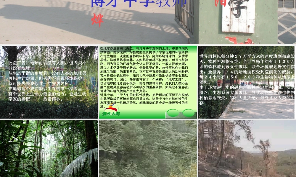 八年级语文雨林的毁灭 世界性灾难课件1语文版 课件
