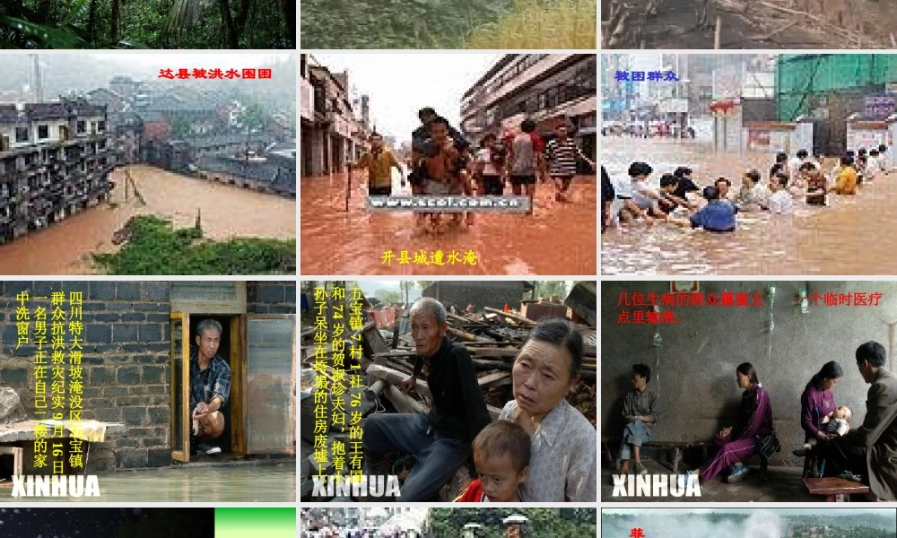 八年级语文雨林的毁灭 世界性灾难课件1语文版 课件