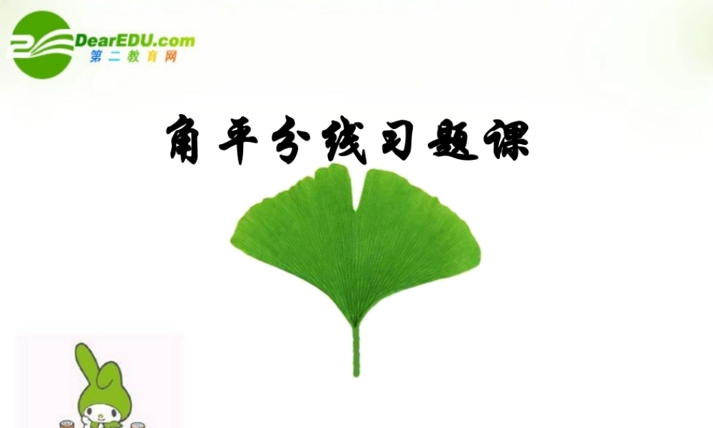 中考数学 角平分线的练习课件1 人教新课标版 课件