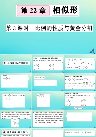 九年级数学上册 第22章 相似形 221 比例线段 第3课时 比例的性质与黄金分割作业课件 (新版)沪科版 课件