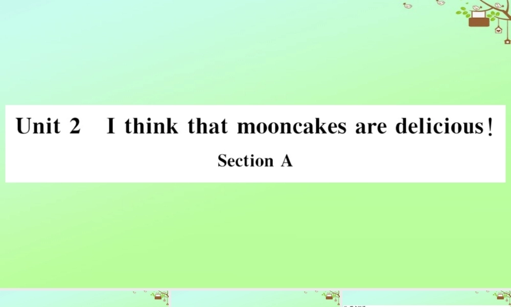 九年级英语全册 Unit 2 I think that mooncakes are delicious Section A作业课件 (新版)人教新目标版 课件