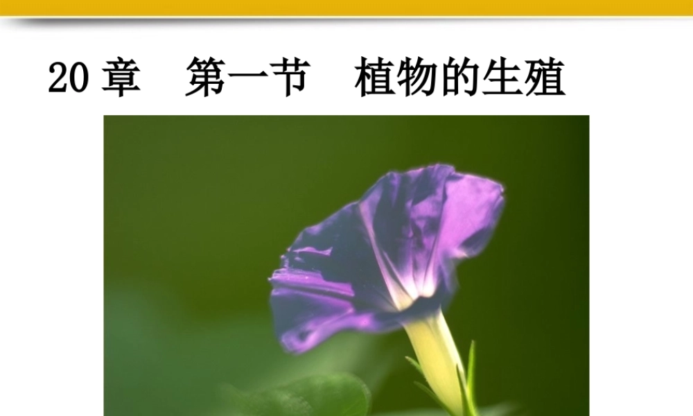八年级生物上册 第一节植物的生殖课件 苏科版 课件