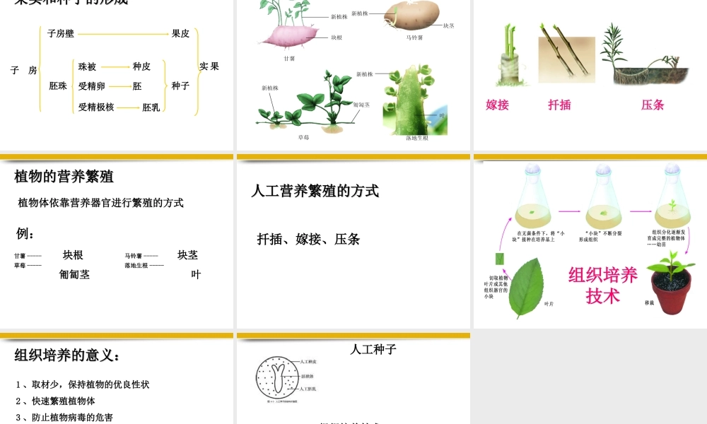 八年级生物上册 第一节植物的生殖课件 苏科版 课件
