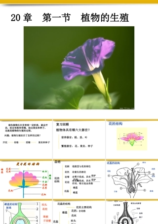 八年级生物上册 第一节植物的生殖课件 苏科版 课件