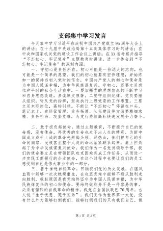 支部集中学习发言