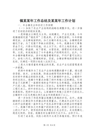 镇某某年工作总结及某某年工作计划