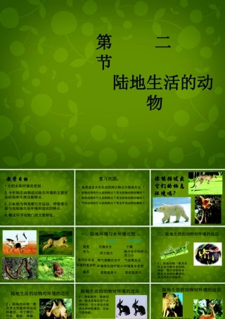 八年级生物上册 5.1.2 陆地生活的动物课件1 新人教版 课件