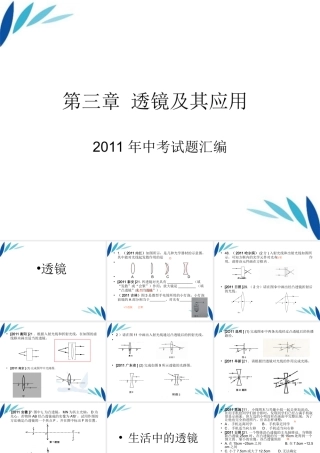 八年级物理上册 透镜及应用试题汇编课件 人教新课标版 课件