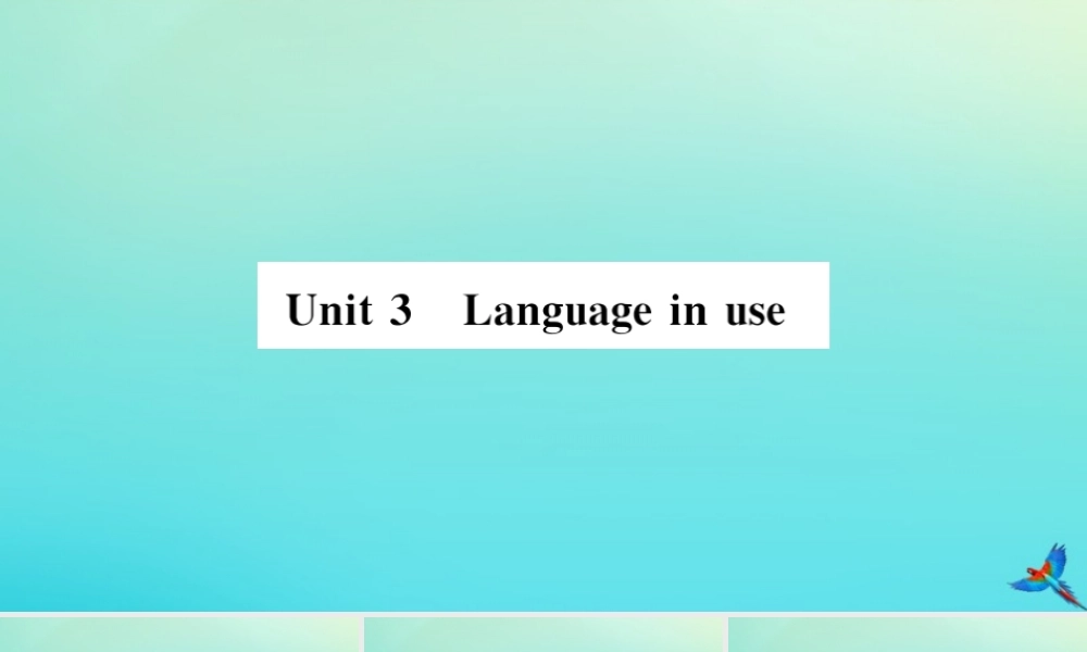九年级英语上册 Module 11 Photos Unit 3 Language in use(小册子)习题课件 (新版)外研版 课件