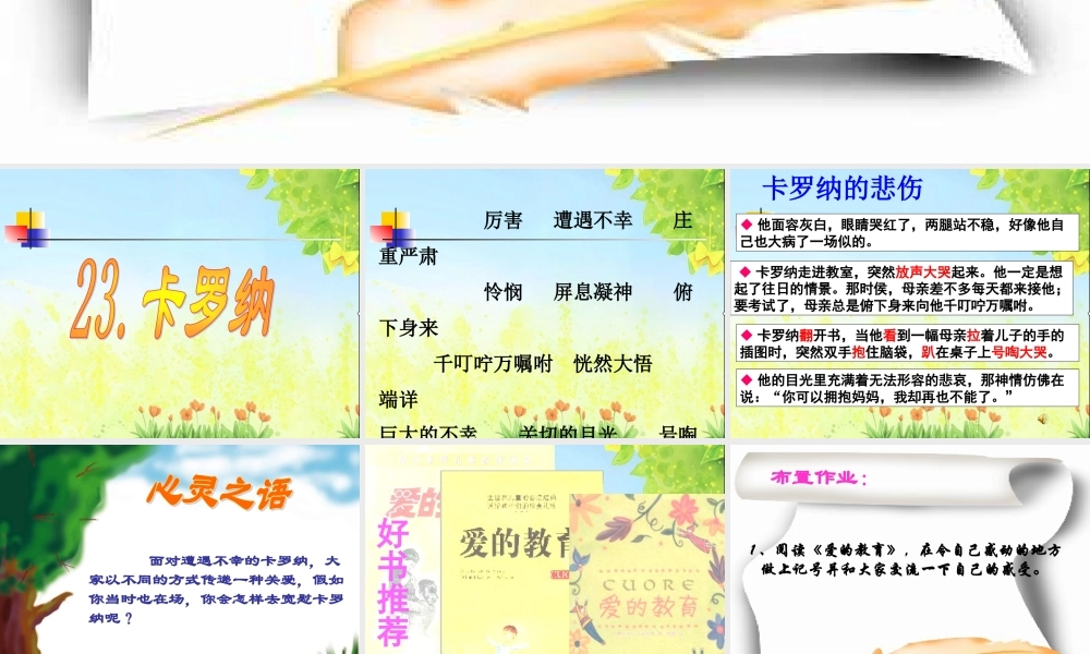 卡罗纳课件冯甜甜