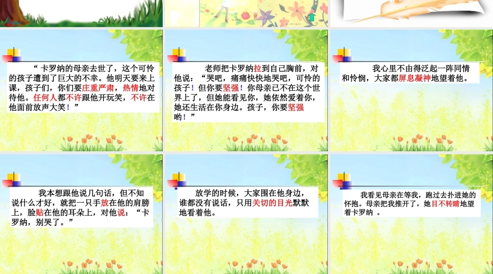 卡罗纳课件冯甜甜
