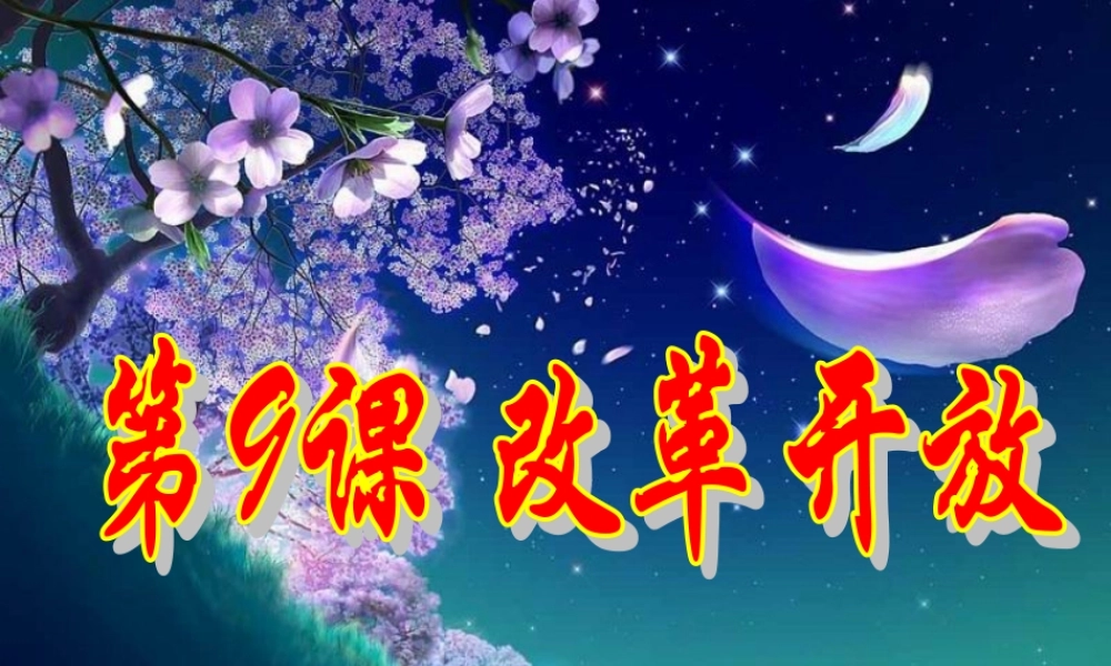 八年级历史下册 3.9(改革开放)课件 人教新课标版  课件