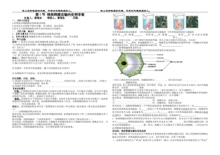 物质的跨膜运输实例学案