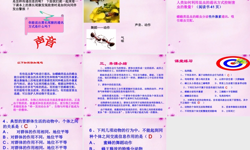 八年级生物上册 第五单元 第二章 第三节 社会行为课件 (新版)新人教版 课件