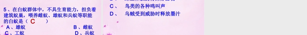八年级生物上册 第五单元 第二章 第三节 社会行为课件 (新版)新人教版 课件