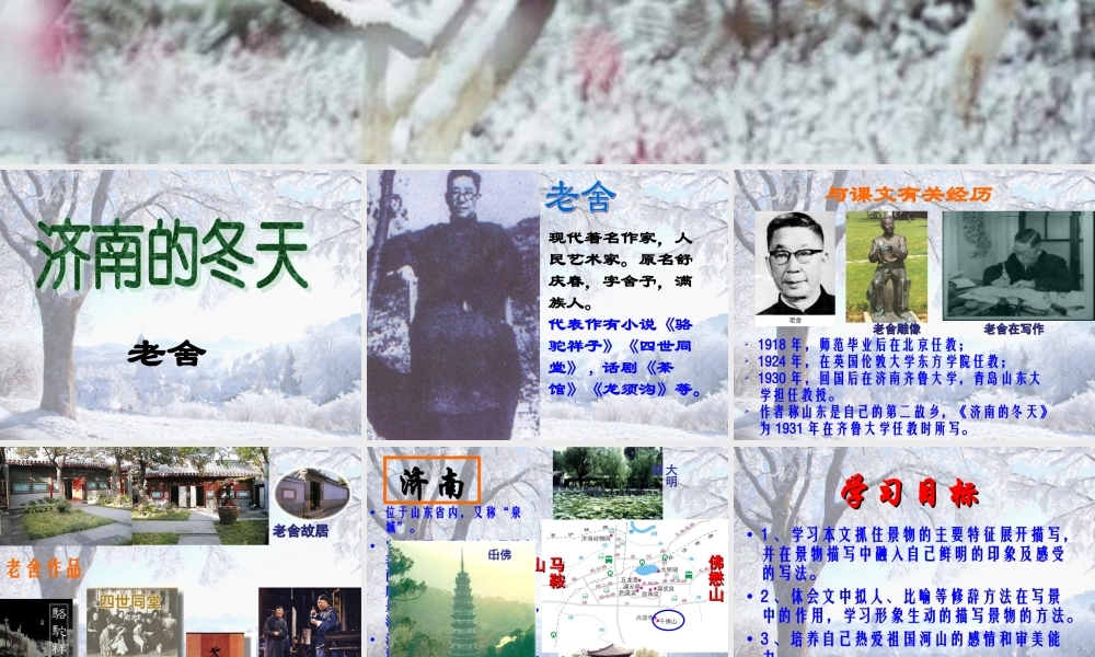 济南的冬天PPT