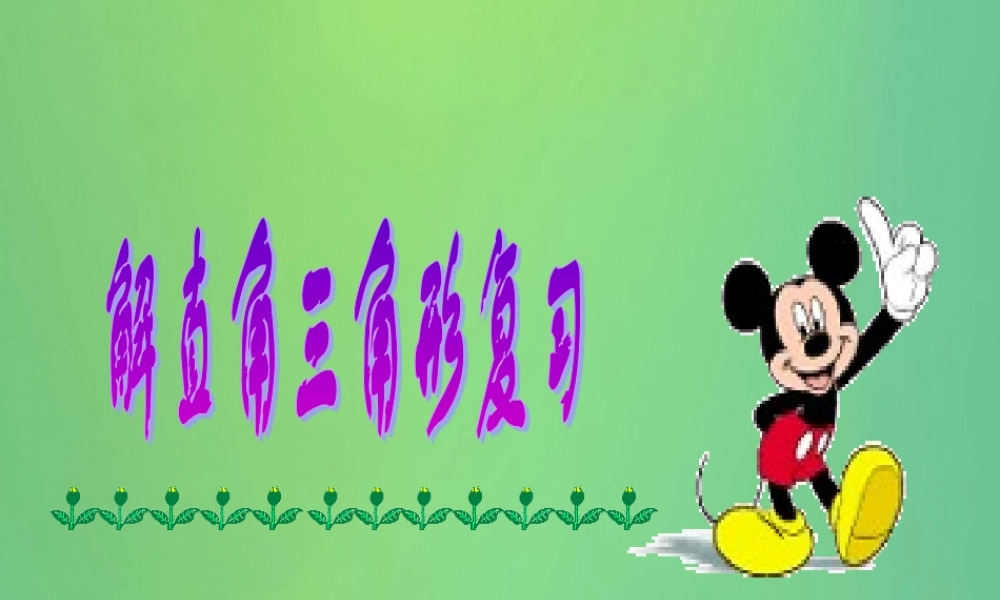 九年级数学上册 244 解直角三角形复习课件 (新版)华东师大版 课件