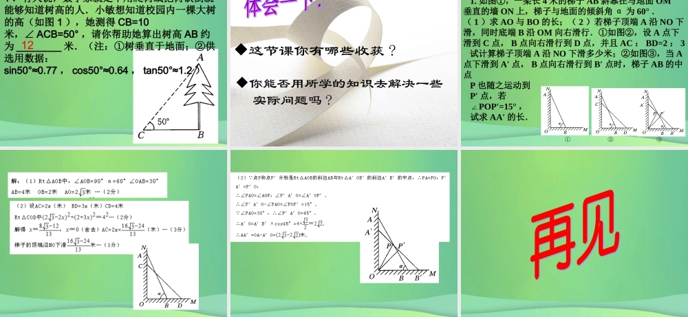 九年级数学上册 244 解直角三角形复习课件 (新版)华东师大版 课件