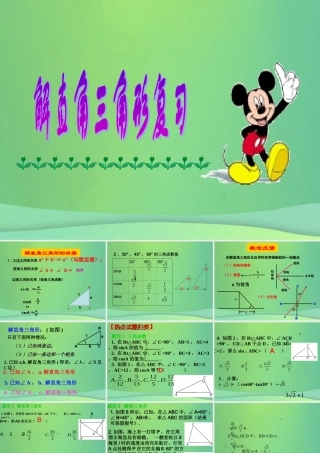 九年级数学上册 244 解直角三角形复习课件 (新版)华东师大版 课件