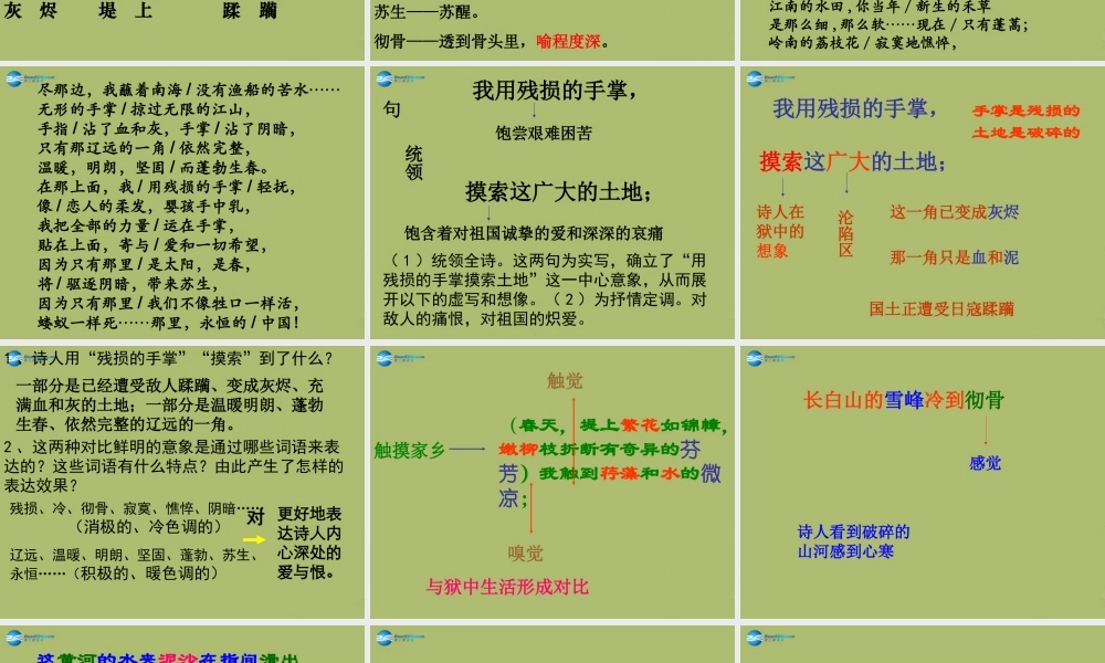 九年级语文下册 2 我用残损的手掌课件10 新人教版 课件