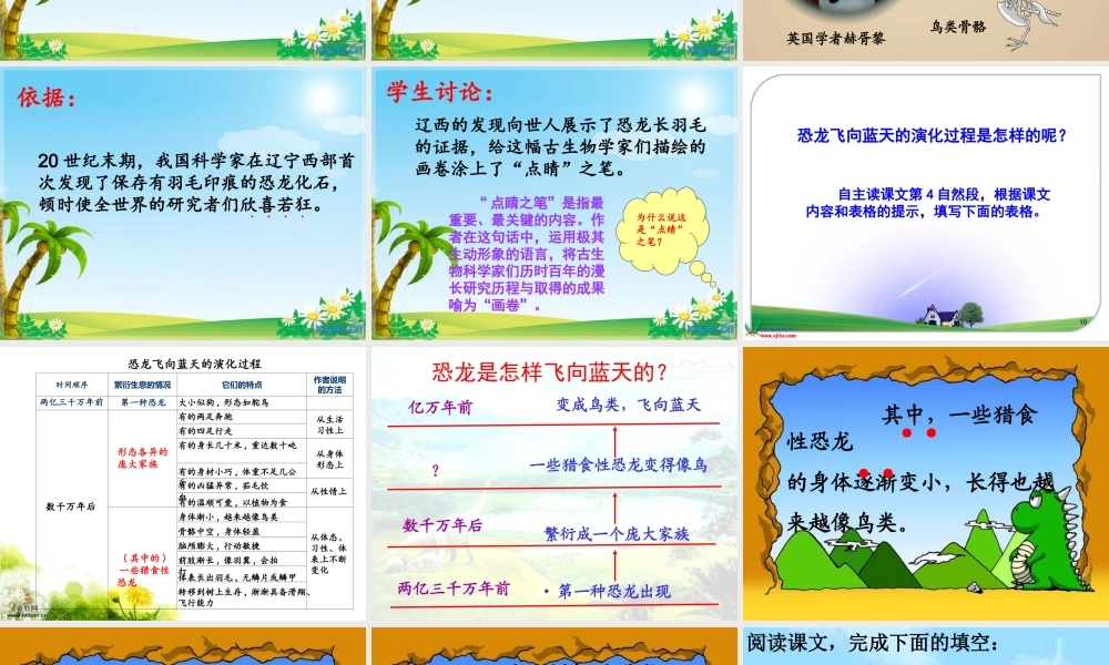 飞向蓝天的恐龙（2）