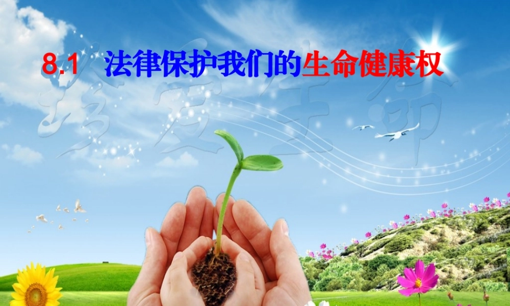 八年级政治上册 第八课 第一框 法律保护我们的生命健康权课件 鲁教版 课件