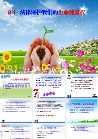 八年级政治上册 第八课 第一框 法律保护我们的生命健康权课件 鲁教版 课件