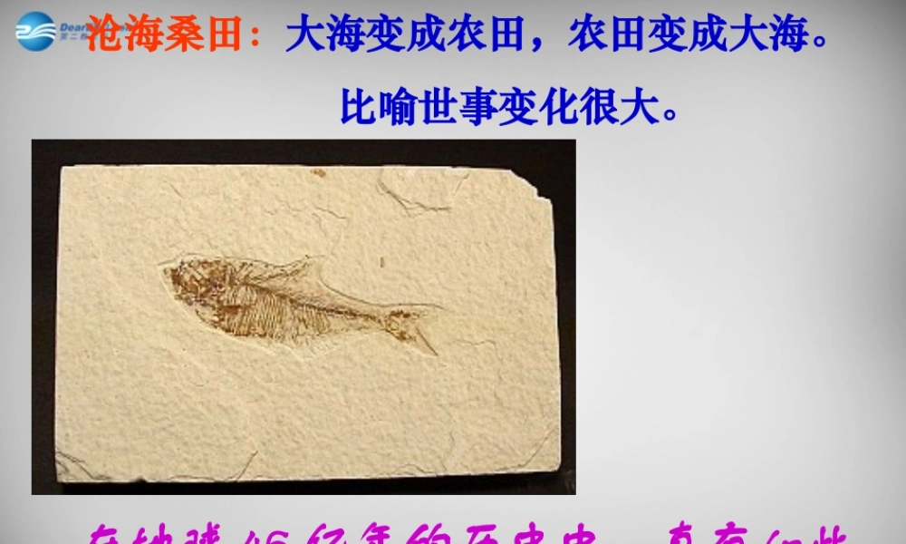 中学七年级语文上册 第21课 化石吟课件 (新版)新人教版 课件