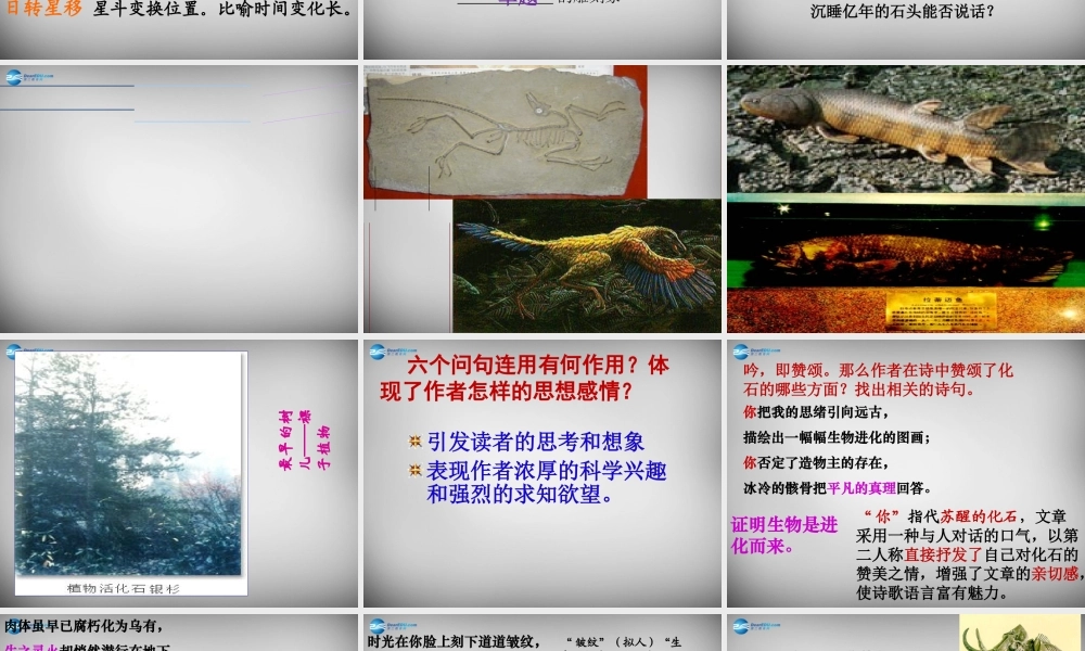 中学七年级语文上册 第21课 化石吟课件 (新版)新人教版 课件