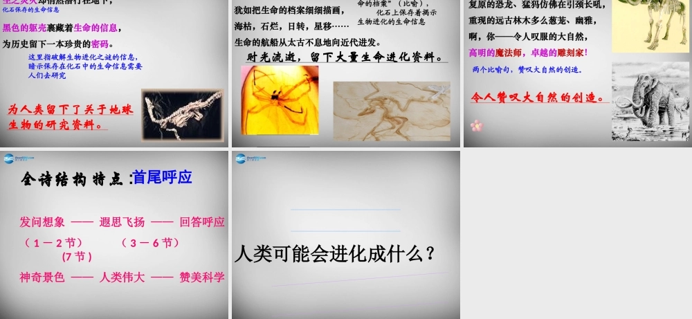 中学七年级语文上册 第21课 化石吟课件 (新版)新人教版 课件