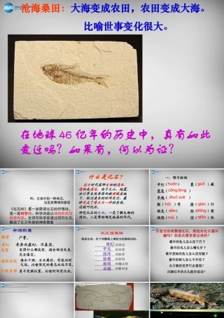 中学七年级语文上册 第21课 化石吟课件 (新版)新人教版 课件