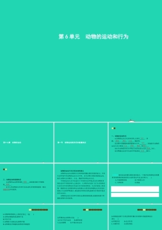 八年级生物上册 17.1 动物运动的形式和能量供应课件 (新版)苏教版 课件