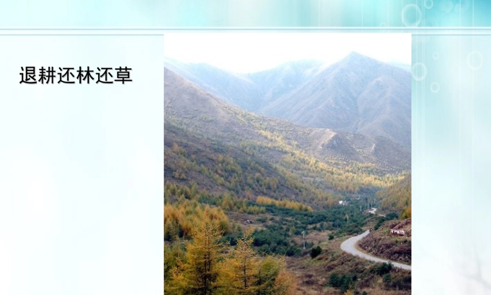 七年级生物下册 植树造林保护环境1课件 人教新课标版 课件