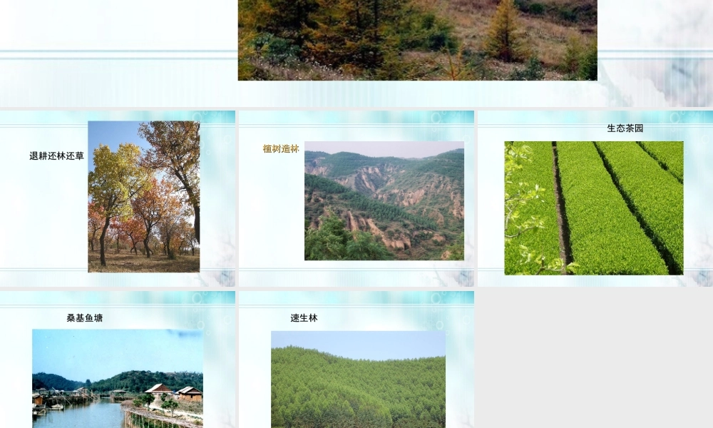 七年级生物下册 植树造林保护环境1课件 人教新课标版 课件