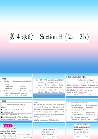 九年级英语全册 Unit 13 We re trying to save the earth(第4课时)Section B(2a 3b)课堂导练课件(含中考真题)(新版)人教新目标版 课件