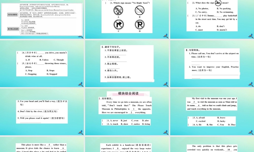 九年级英语上册 Module 5 Museums Unit 3 Language in use习题课件 (新版)外研版 课件