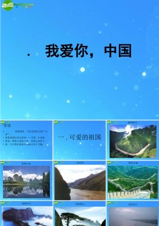 八年级政治上册 (我爱你，中国)课件 鲁教版 课件