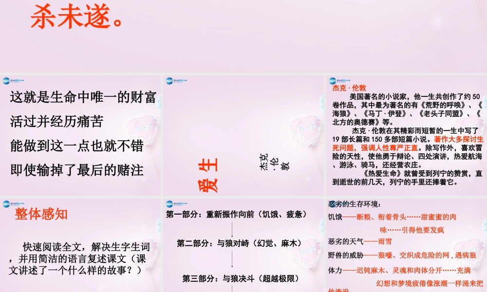 九年级语文下册 8(热爱生命)课件3 新人教版 课件